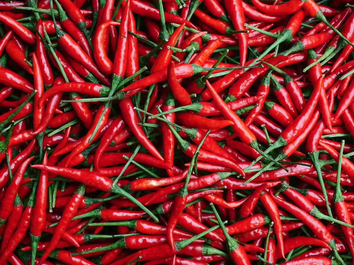 the-land-where-chillies-are-given-the-status-they-deserve