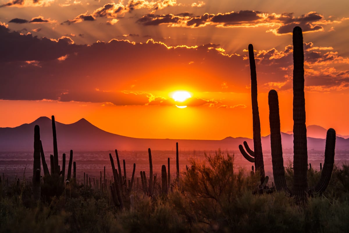 The-Perfect-Weekend-In-Tucson-Arizona the-perfect-weekend-in-tucson-arizona