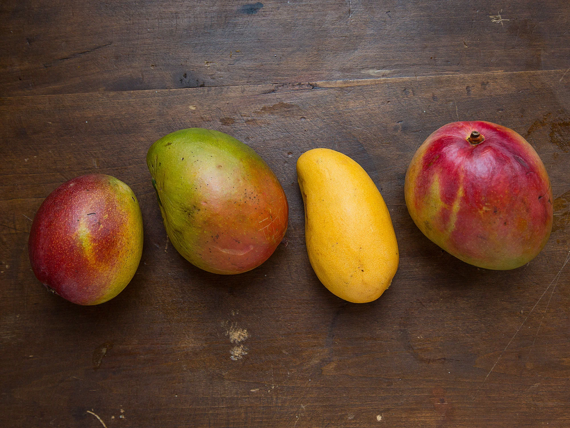 The-Quest-For-The-Perfect-Mango-Knows-No-Borders the-quest-for-the-perfect-mango-knows-no-borders