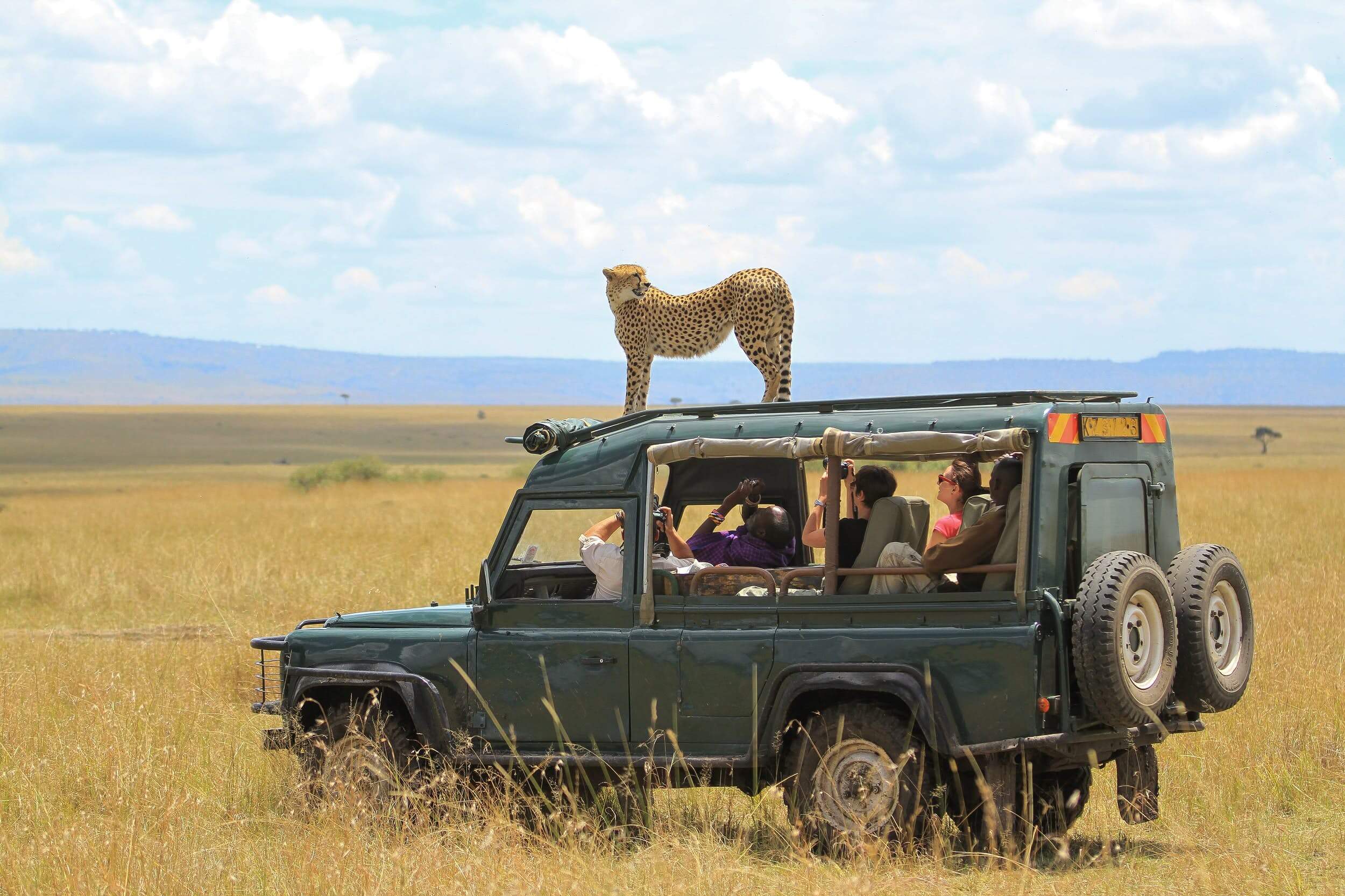 The-Top-Safari-Destinations-In-Africa the-top-safari-destinations-in-africa