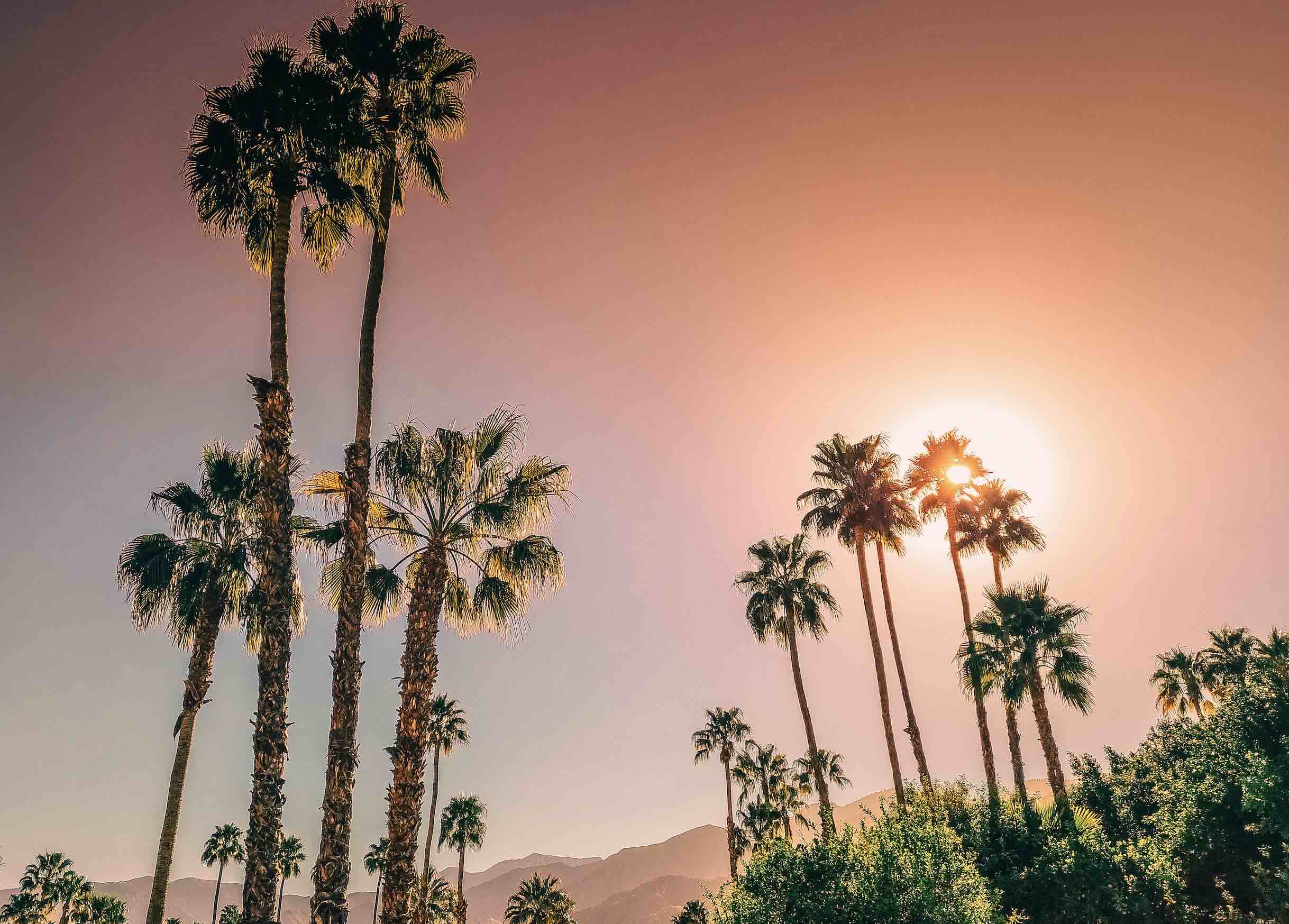 The-Ultimate-3-Day-Palm-Springs-Itinerary the-ultimate-3-day-palm-springs-itinerary