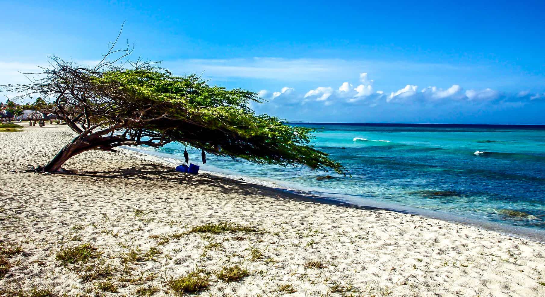 The-Ultimate-Adventurous-5-Day-Aruba-Itinerary the-ultimate-adventurous-5-day-aruba-itinerary