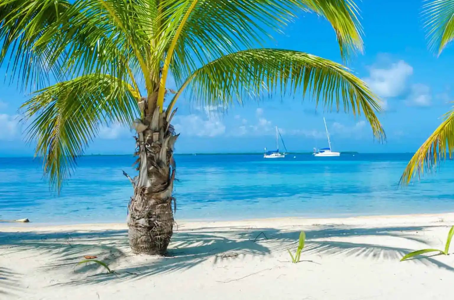 The-Ultimate-Belize-Travel-Guide the-ultimate-belize-travel-guide