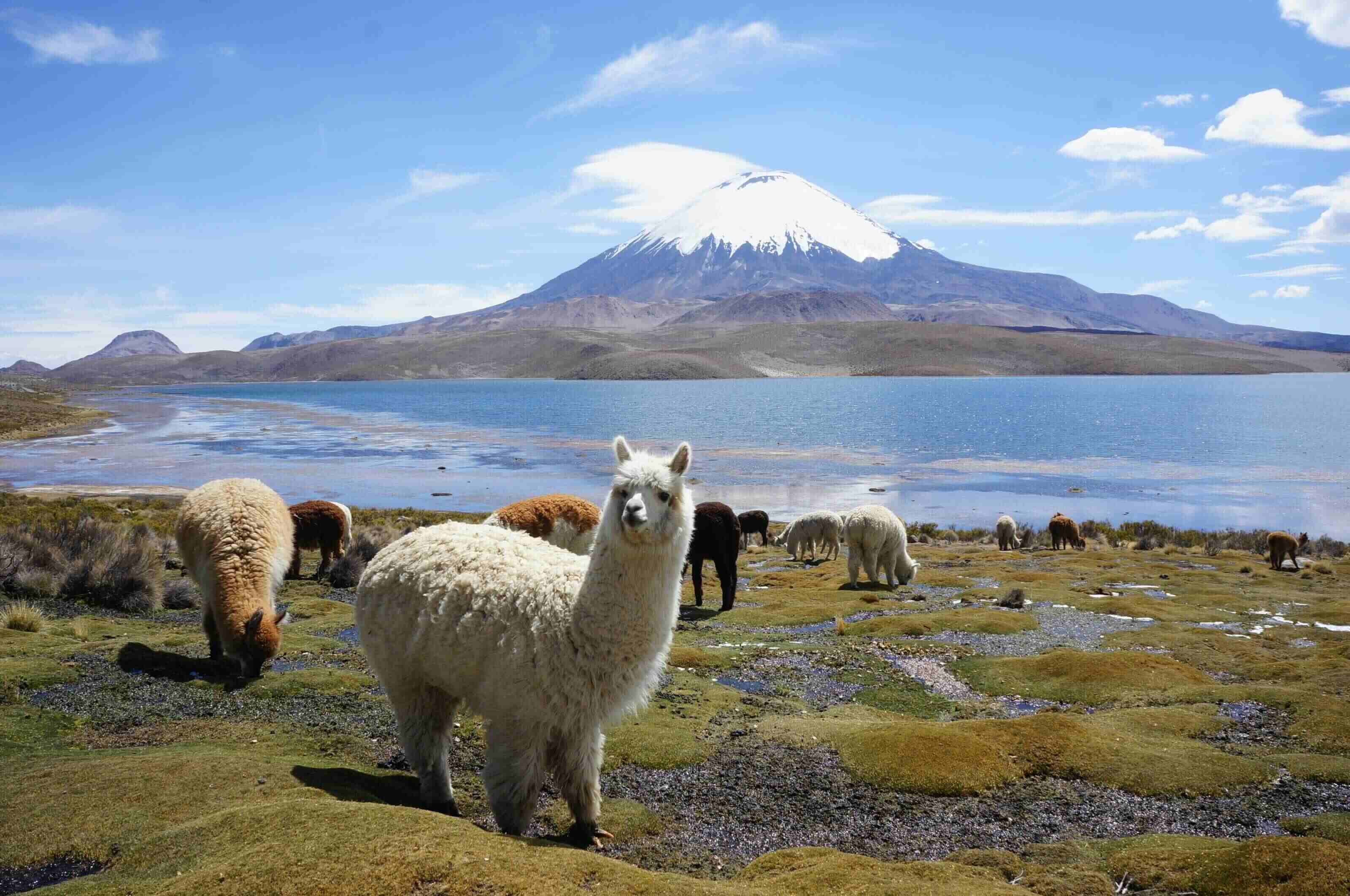 the-ultimate-bolivia-travel-guide
