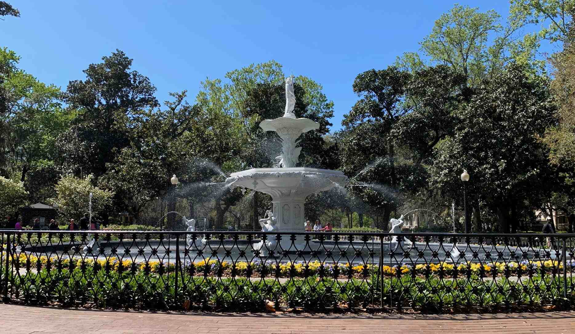 The-Ultimate-Savannah-Guide the-ultimate-savannah-guide