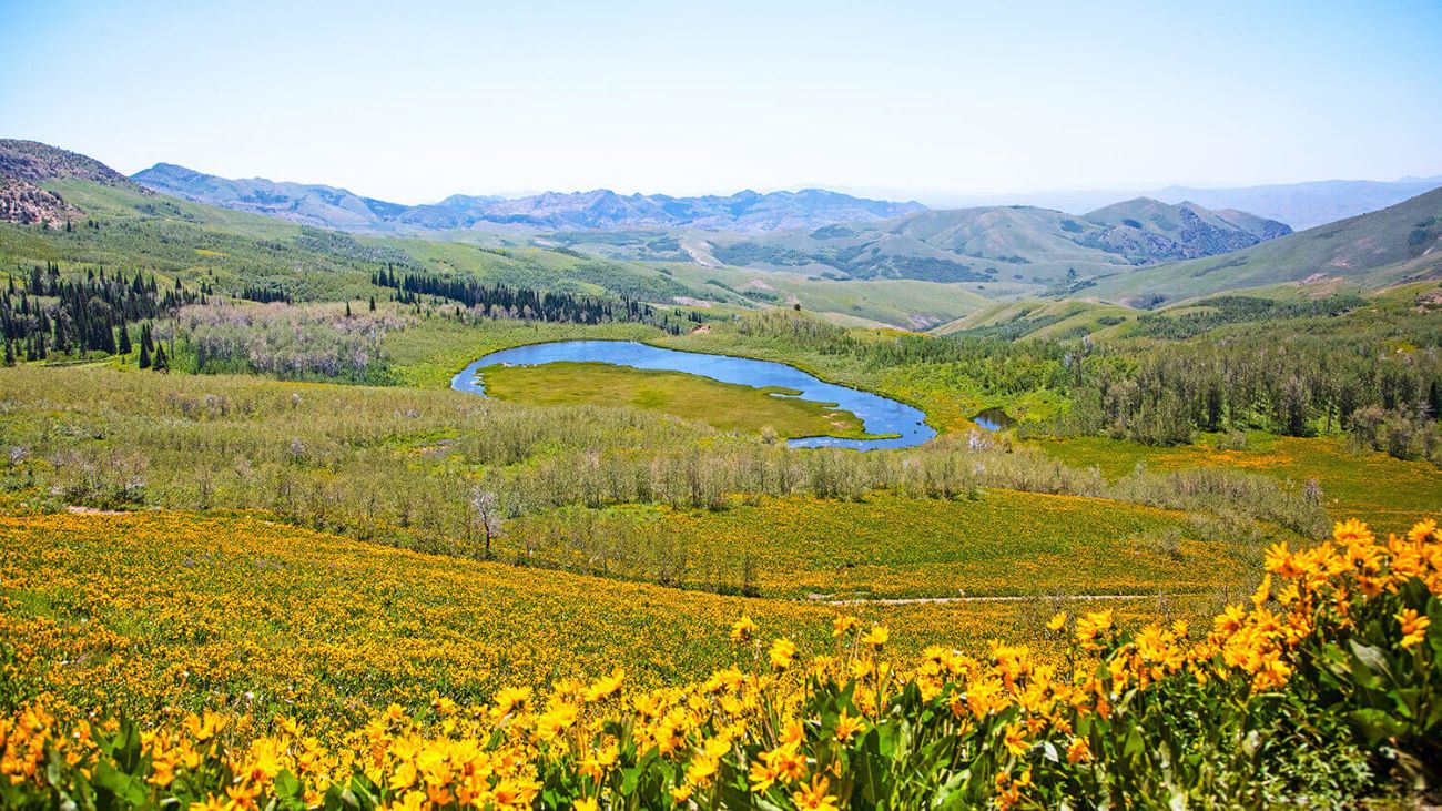 The-Ultimate-Travel-Guide-To-Nevada’s-Rubies-Route the-ultimate-travel-guide-to-nevadas-rubies-route