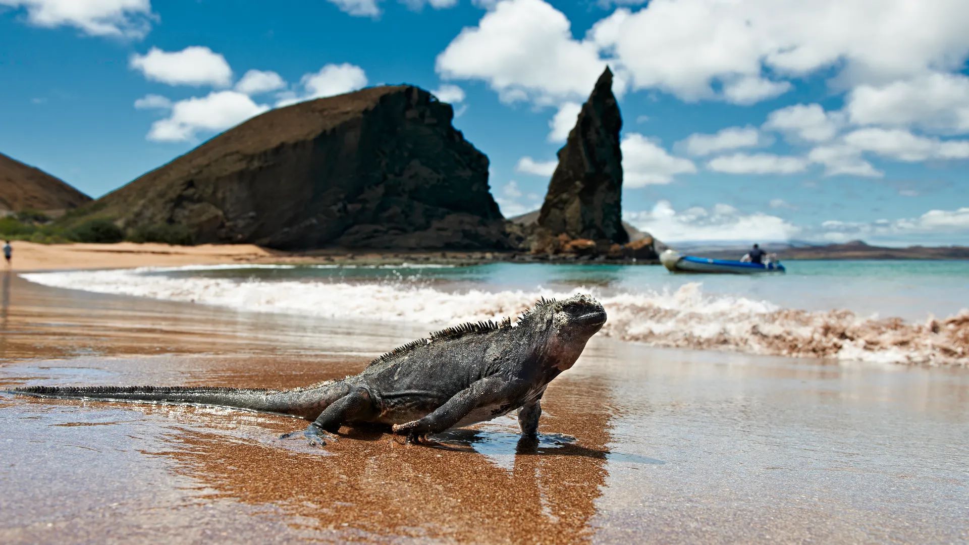 Tips-On-Getting-To-The-Galápagos tips-on-getting-to-the-galapagos