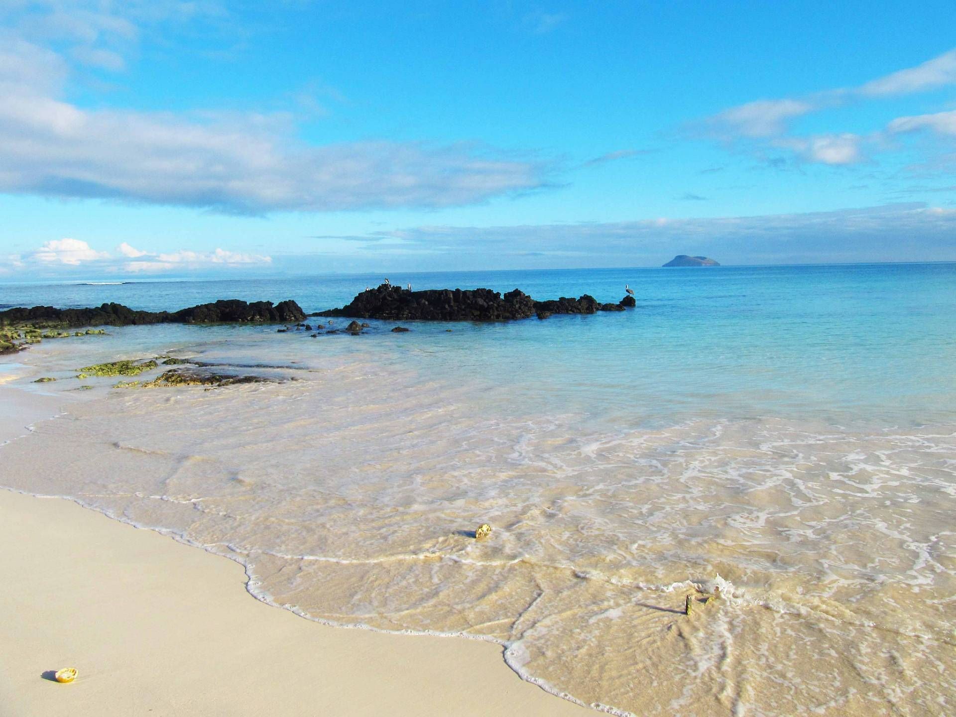 visiting-las-bachas-in-the-galapagos