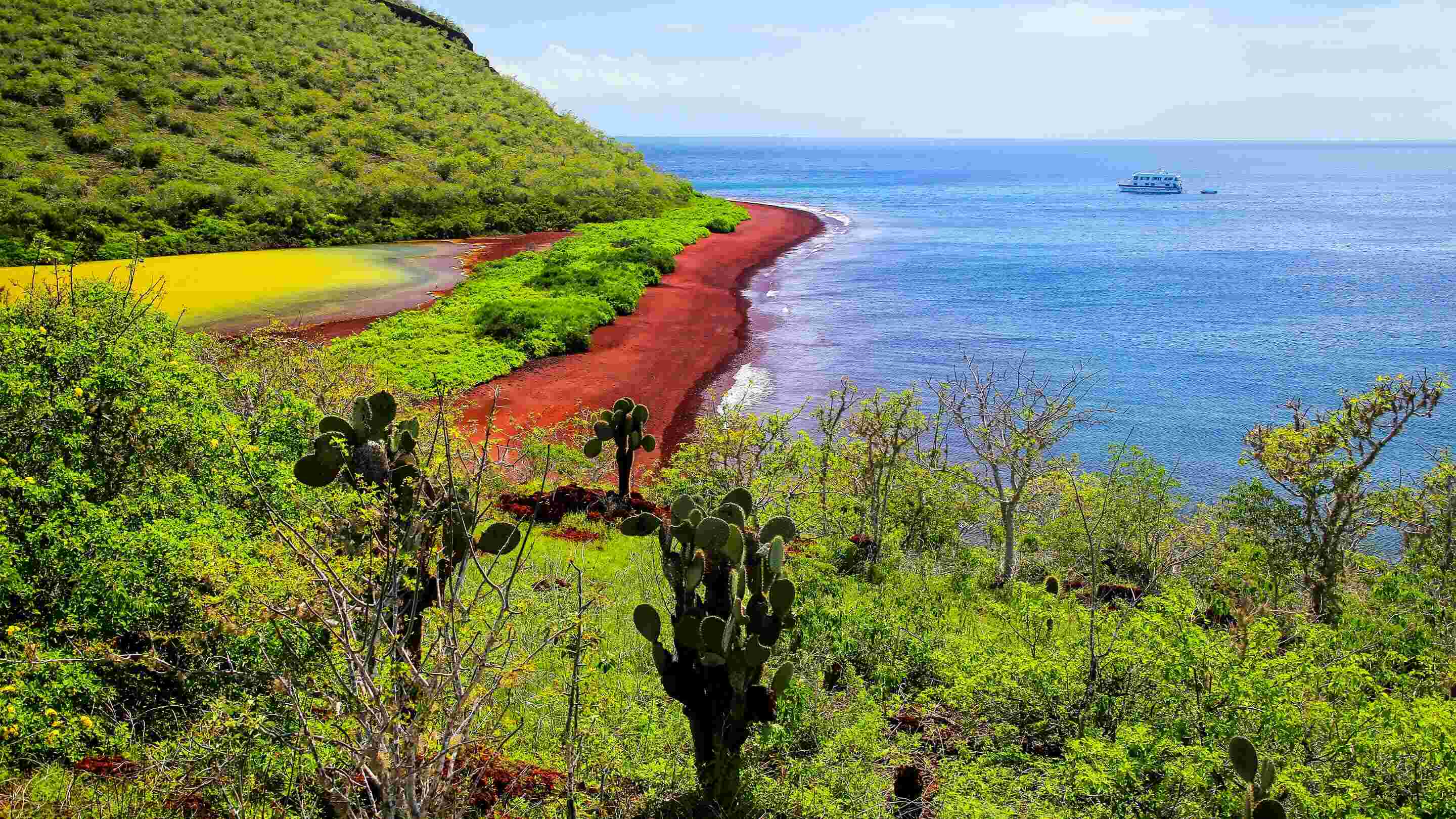 Visiting-Rábida-Island-In-The-Galápagos visiting-rabida-island-in-the-galapagos