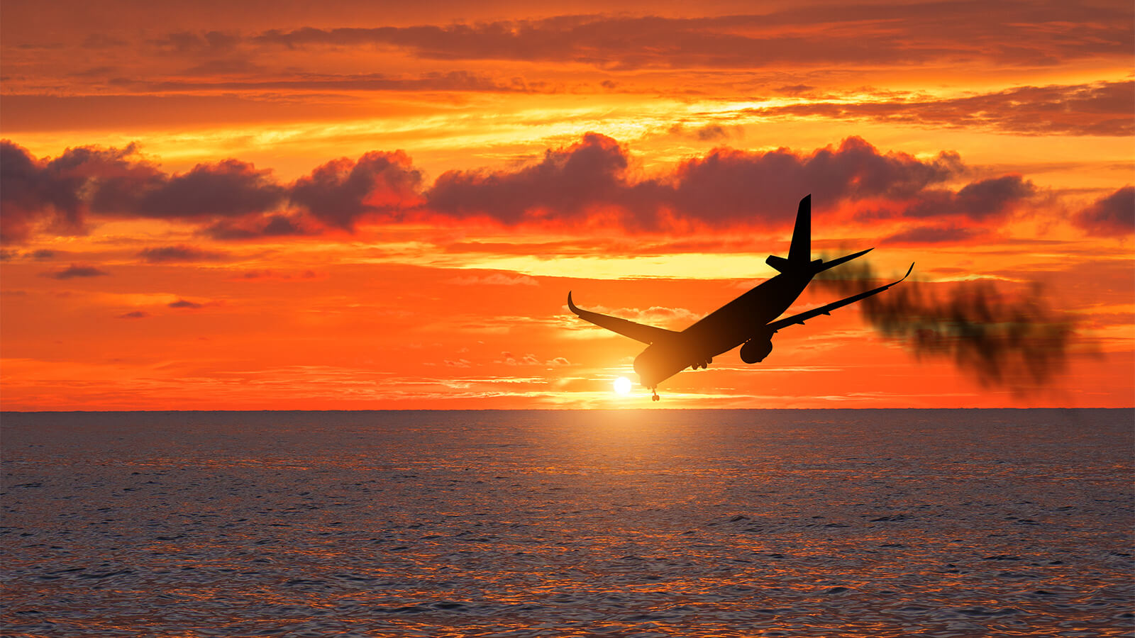 What-Can-Cause-An-Airplane-To-Crash what-can-cause-an-airplane-to-crash