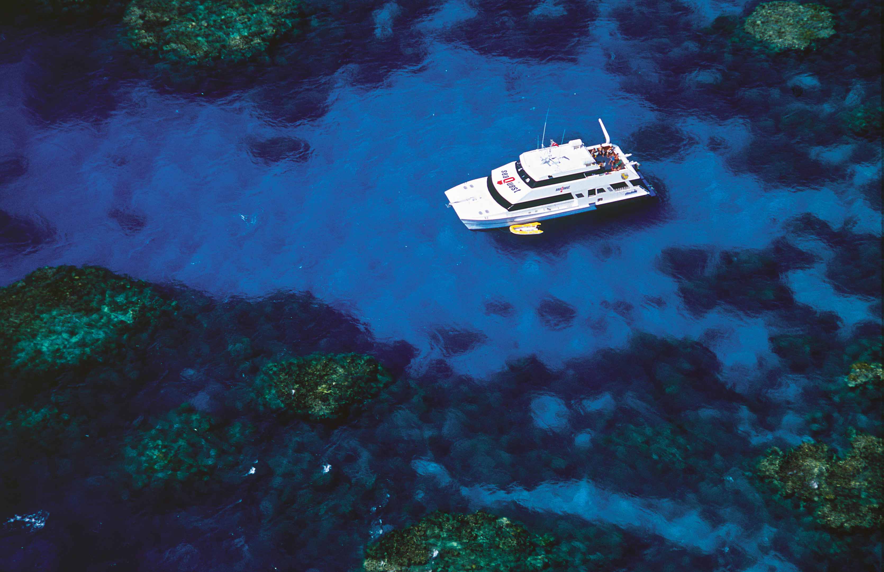 What-To-Expect-On-A-Diving-Liveaboard-Trip what-to-expect-on-a-diving-liveaboard-trip