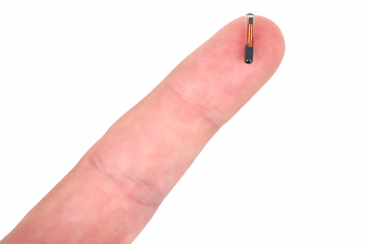 Where-Can-I-Get-The-RFID-Chip where-can-i-get-the-rfid-chip
