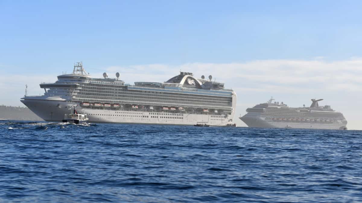 Which-Excursion-Picks-Up-At-The-Cabo-San-Lucas-Cruise-Ship-Port which-excursion-picks-up-at-the-cabo-san-lucas-cruise-ship-port