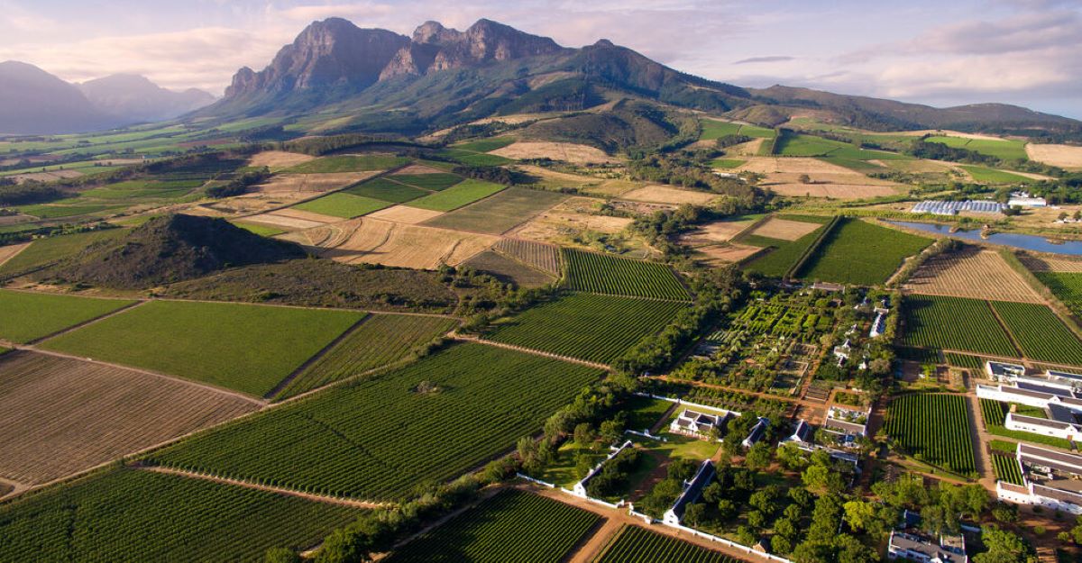 Why-You-Need-To-Visit-Babylonstoren-In-South-Africa why-you-need-to-visit-babylonstoren-in-south-africa