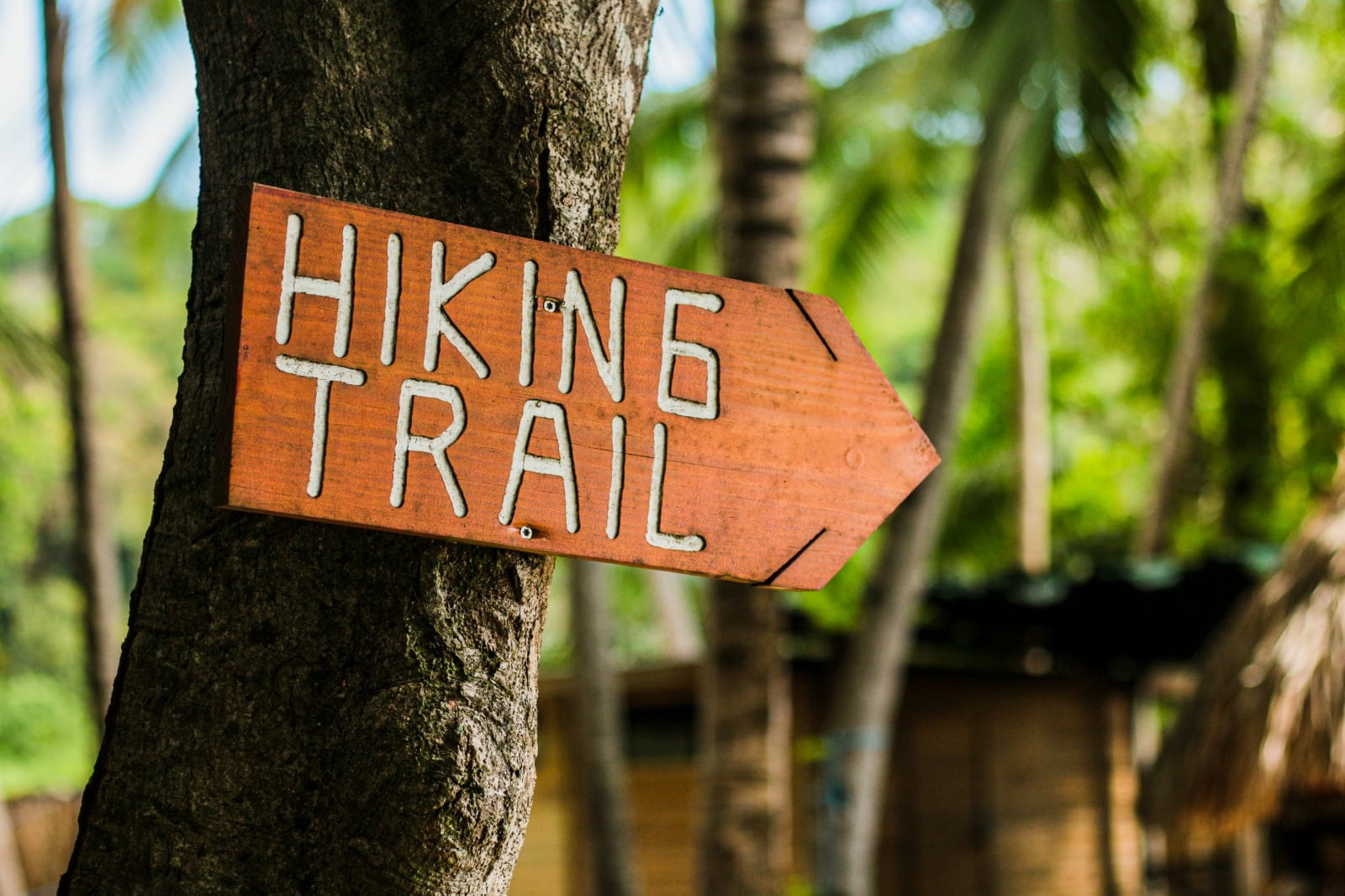 8-best-hikes-in-boquete-panama-the-hikers-guide