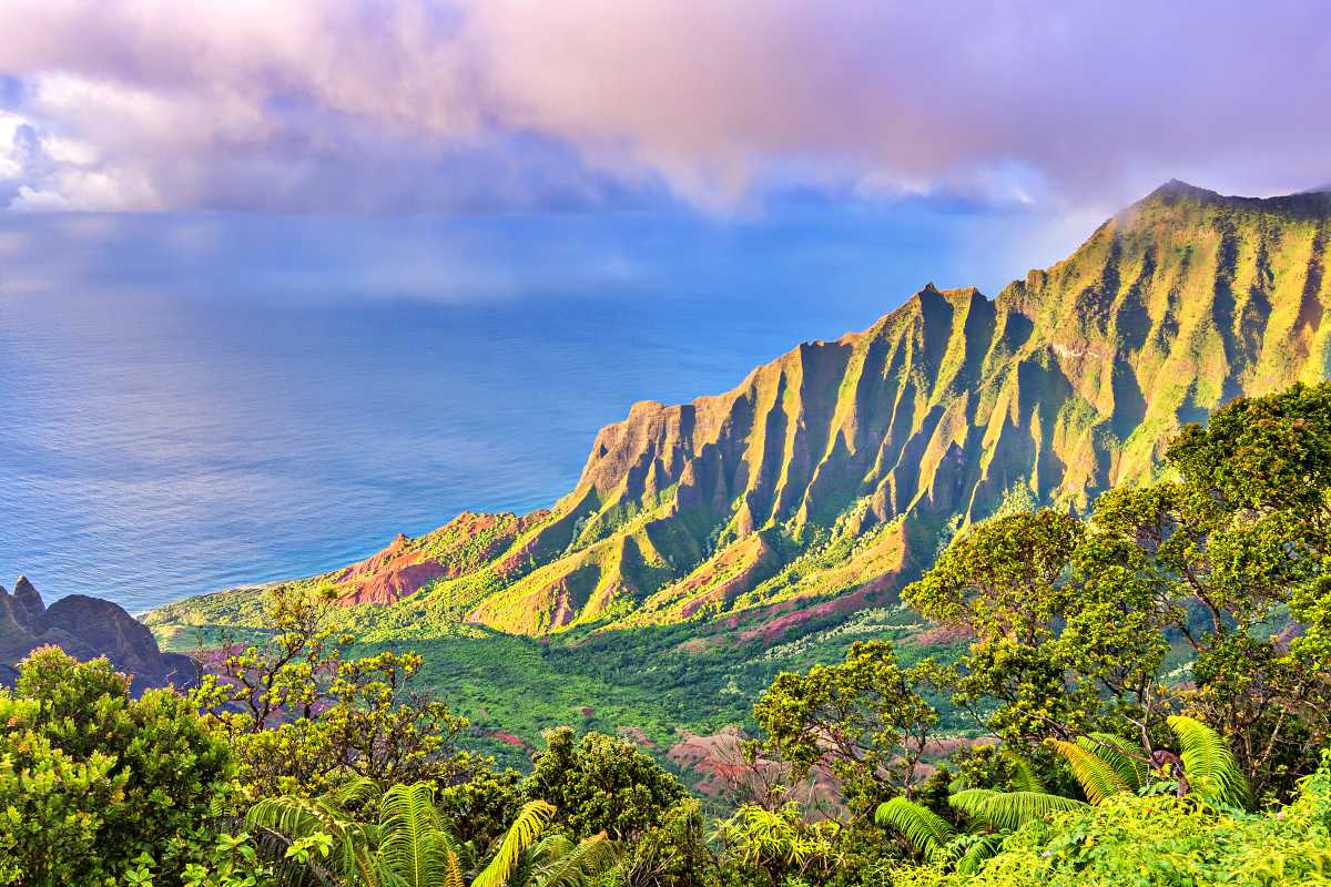 8-Easy-Hikes-On-Kauai-Hawaii-A-Complete-Guide 8-easy-hikes-on-kauai-hawaii-a-complete-guide