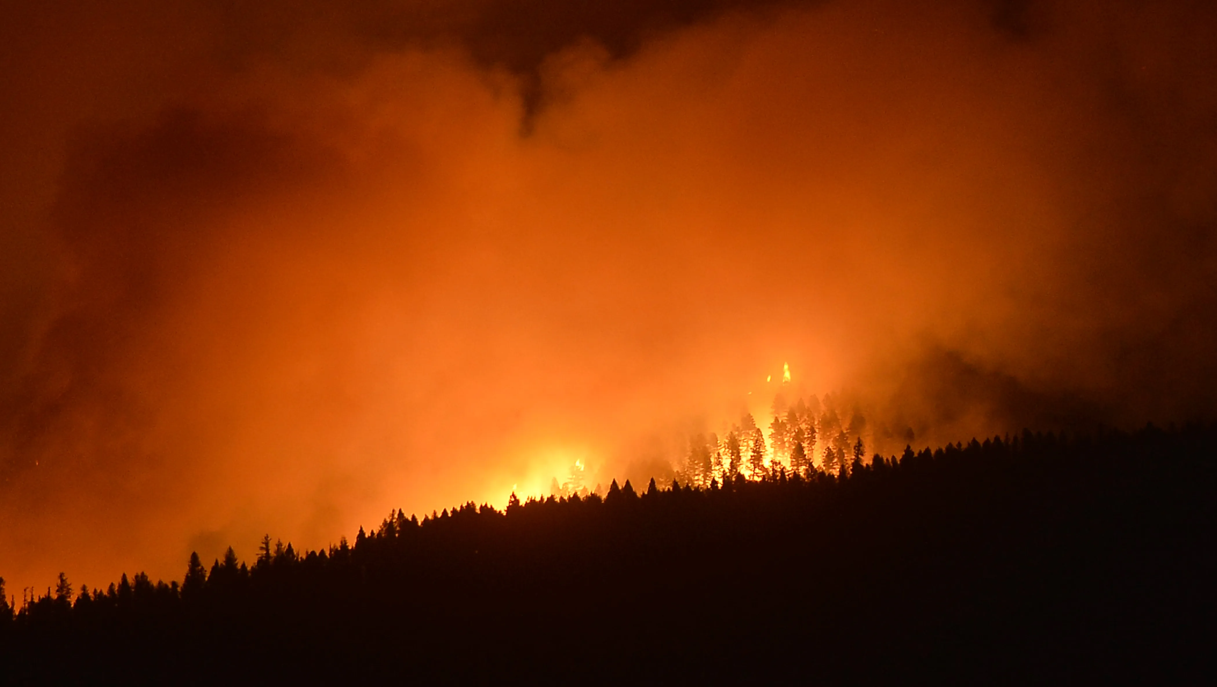 a-night-of-rice-and-fire