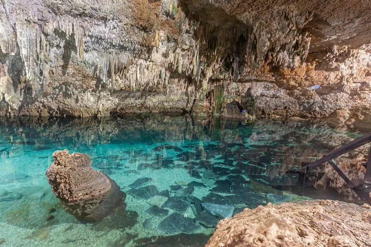Cenote-Choo-Ha-What-You-Need-To-Know cenote-choo-ha-what-you-need-to-know