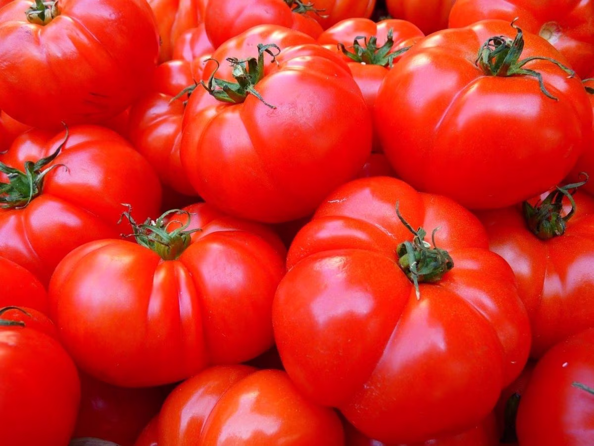 Eating-Tomatoes-On-Cereal-Does-Make-A-Certain-Amount-Of-Sense eating-tomatoes-on-cereal-does-make-a-certain-amount-of-sense