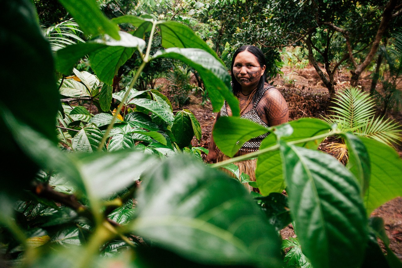 Ecotourism-Is-Often-Having-What-Type-Of-Effect-On-Indigenous-Groups ecotourism-is-often-having-what-type-of-effect-on-indigenous-groups