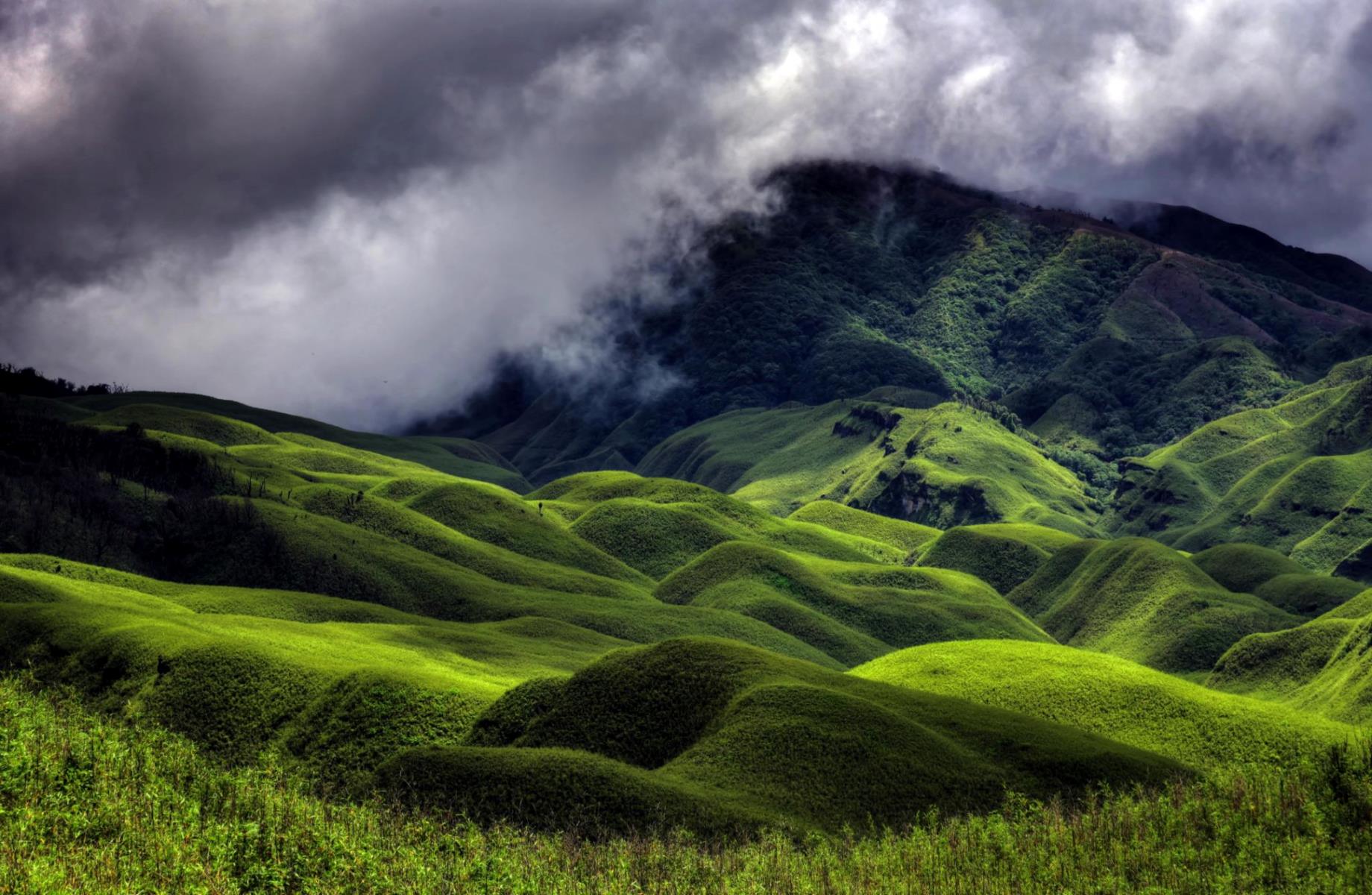 Everything-You-Need-To-Know-About-Dzüko-Valley everything-you-need-to-know-about-dzuko-valley
