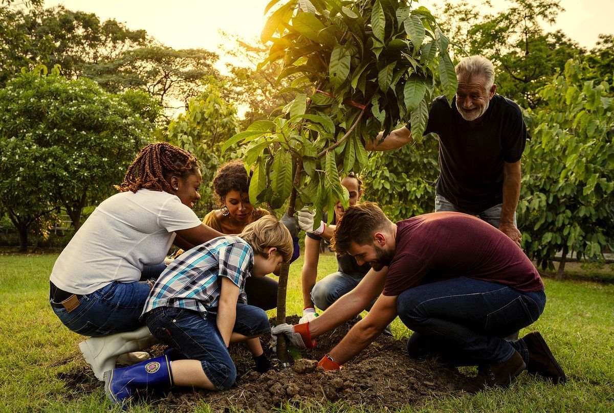 How-Do-Locals-Benefit-From-Ecotourism how-do-locals-benefit-from-ecotourism