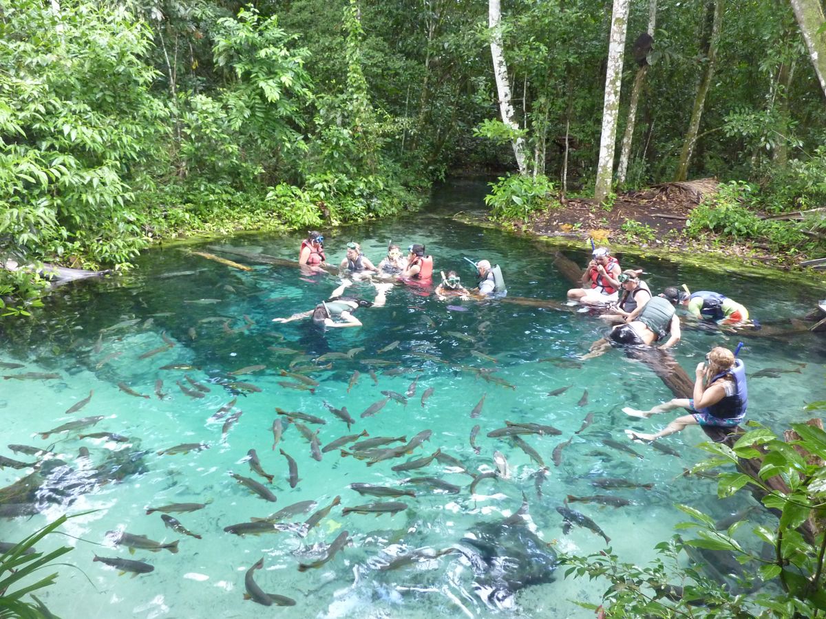 How-Does-Ecotourism-Harm-The-Environment how-does-ecotourism-harm-the-environment