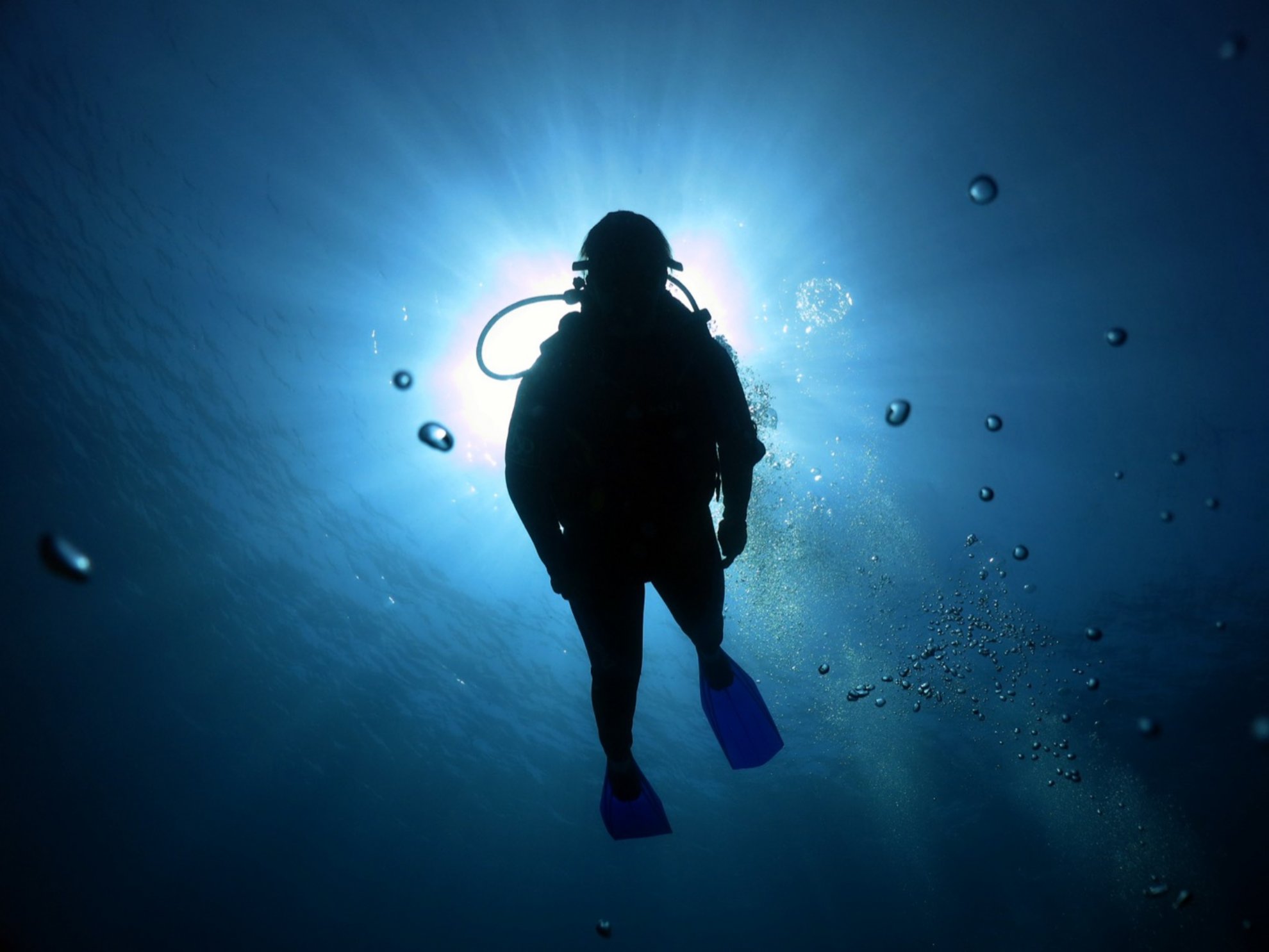 How-Does-Scuba-Diving-Work how-does-scuba-diving-work