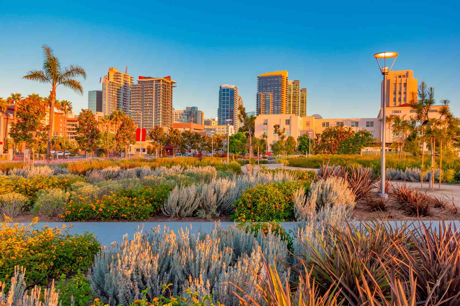 How-Far-Is-San-Diego-From-The-Mexican-Border how-far-is-san-diego-from-the-mexican-border