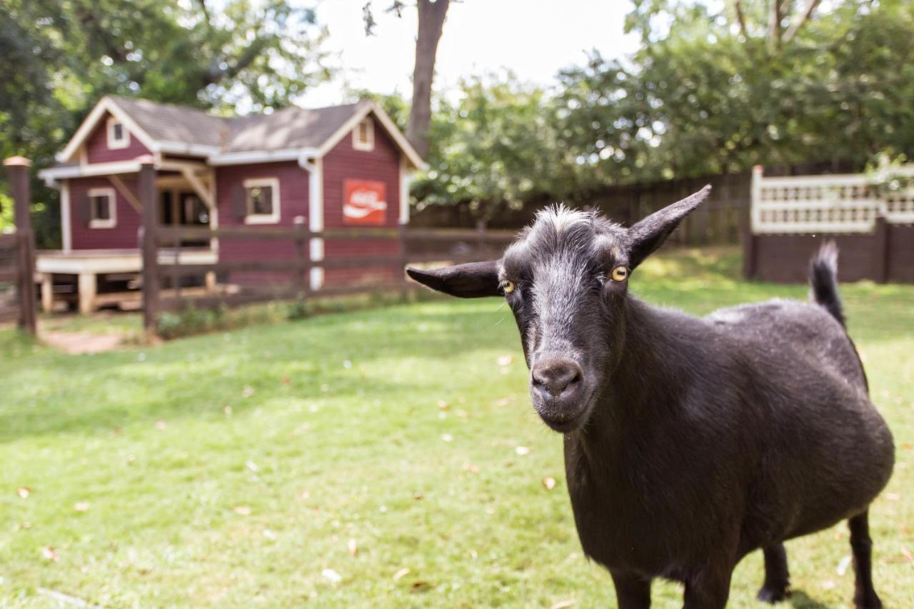 How-Far-Is-The-Spotted-Goat-Bed-And-Breakfast-From-Atlanta how-far-is-the-spotted-goat-bed-and-breakfast-from-atlanta