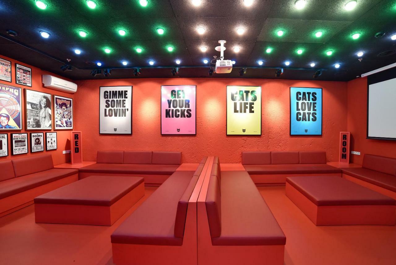 How-Is-Living-Cats-Hostel-In-Madrid how-is-living-cats-hostel-in-madrid