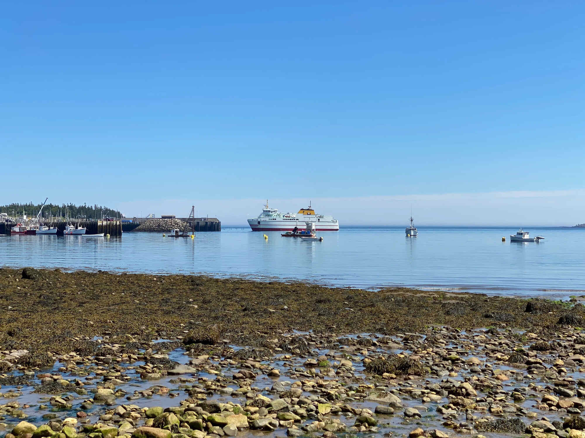 How-Long-Is-The-Ferry-Ride-From-Black-Harbour-To-Grand-Manan how-long-is-the-ferry-ride-from-black-harbour-to-grand-manan