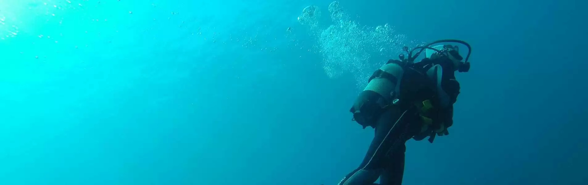 How-Many-Calories-Does-Scuba-Diving-Burn how-many-calories-does-scuba-diving-burn