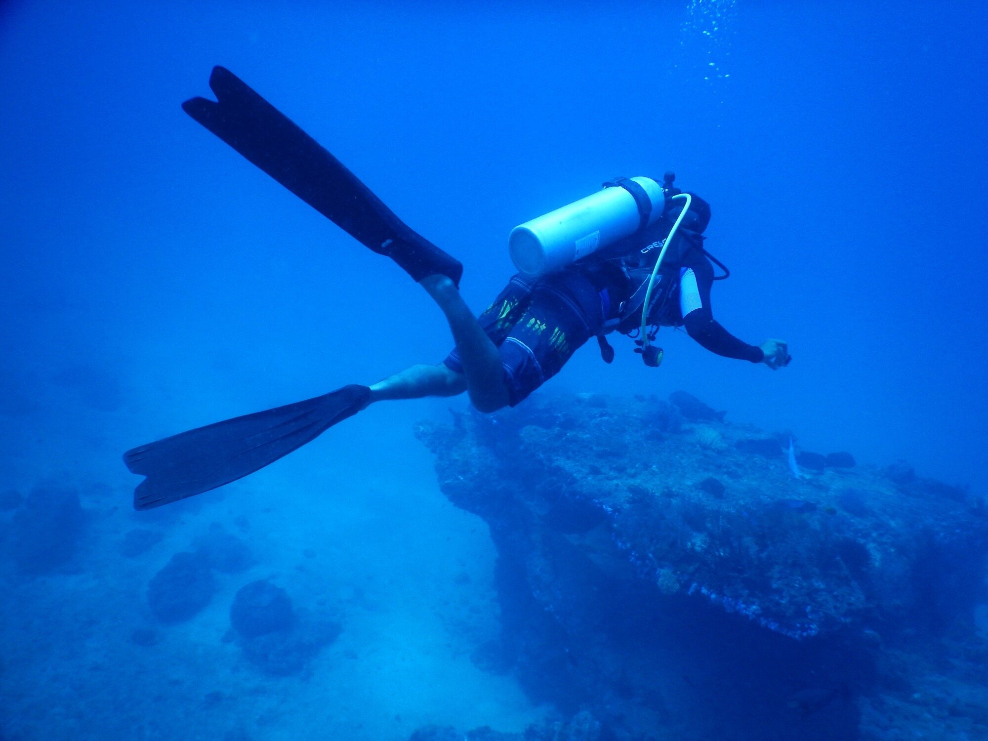 How-Many-People-Die-In-Scuba-Diving how-many-people-die-in-scuba-diving