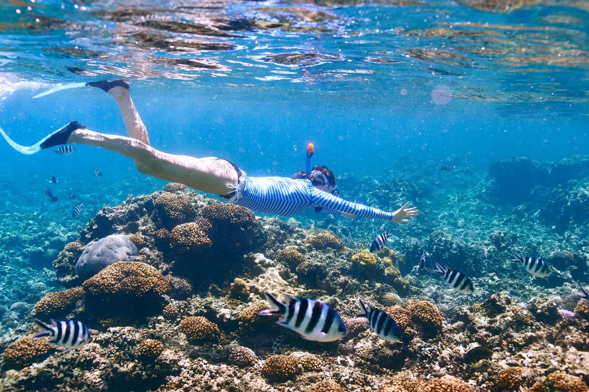 How-Many-Snorkeling-Sites-In-The-Cayman-Islands how-many-snorkeling-sites-in-the-cayman-islands
