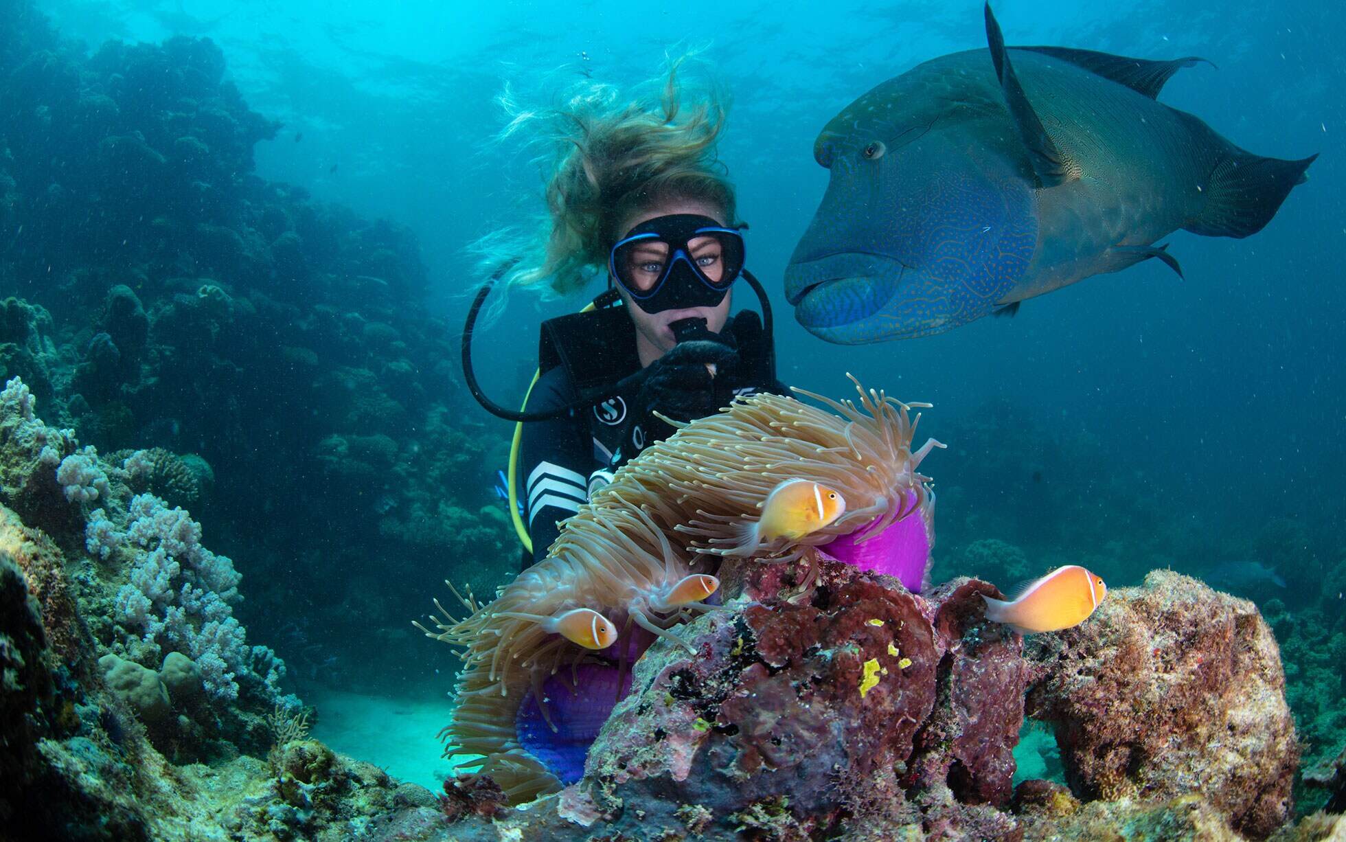 how-many-tourists-visit-the-great-barrier-reef-each-year