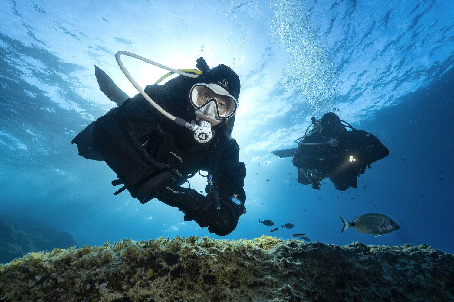 How Much Is A Scuba Diving License TouristSecrets