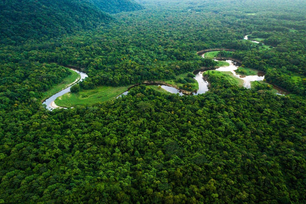 How-Much-Revenue-Is-Generated-From-Ecotourism-Annually-In-The-United-States how-much-revenue-is-generated-from-ecotourism-annually-in-the-united-states