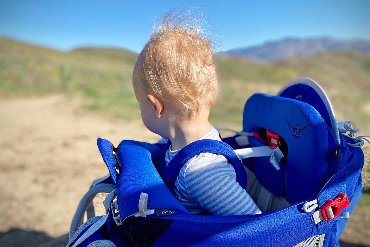 How-Much-Weight-Should-A-Child-Carry-For-Backpacking how-much-weight-should-a-child-carry-for-backpacking