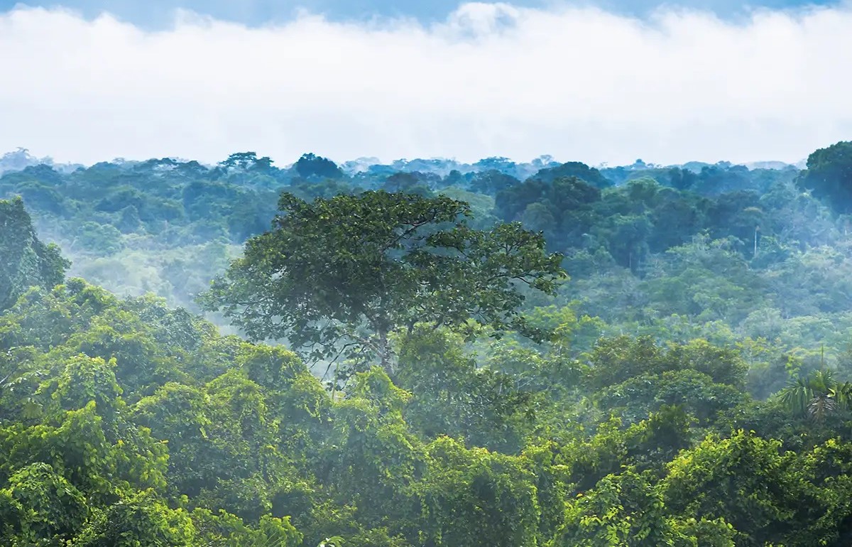 How-Sound-Is-Ecotourism-For-Sustainable-Development how-sound-is-ecotourism-for-sustainable-development