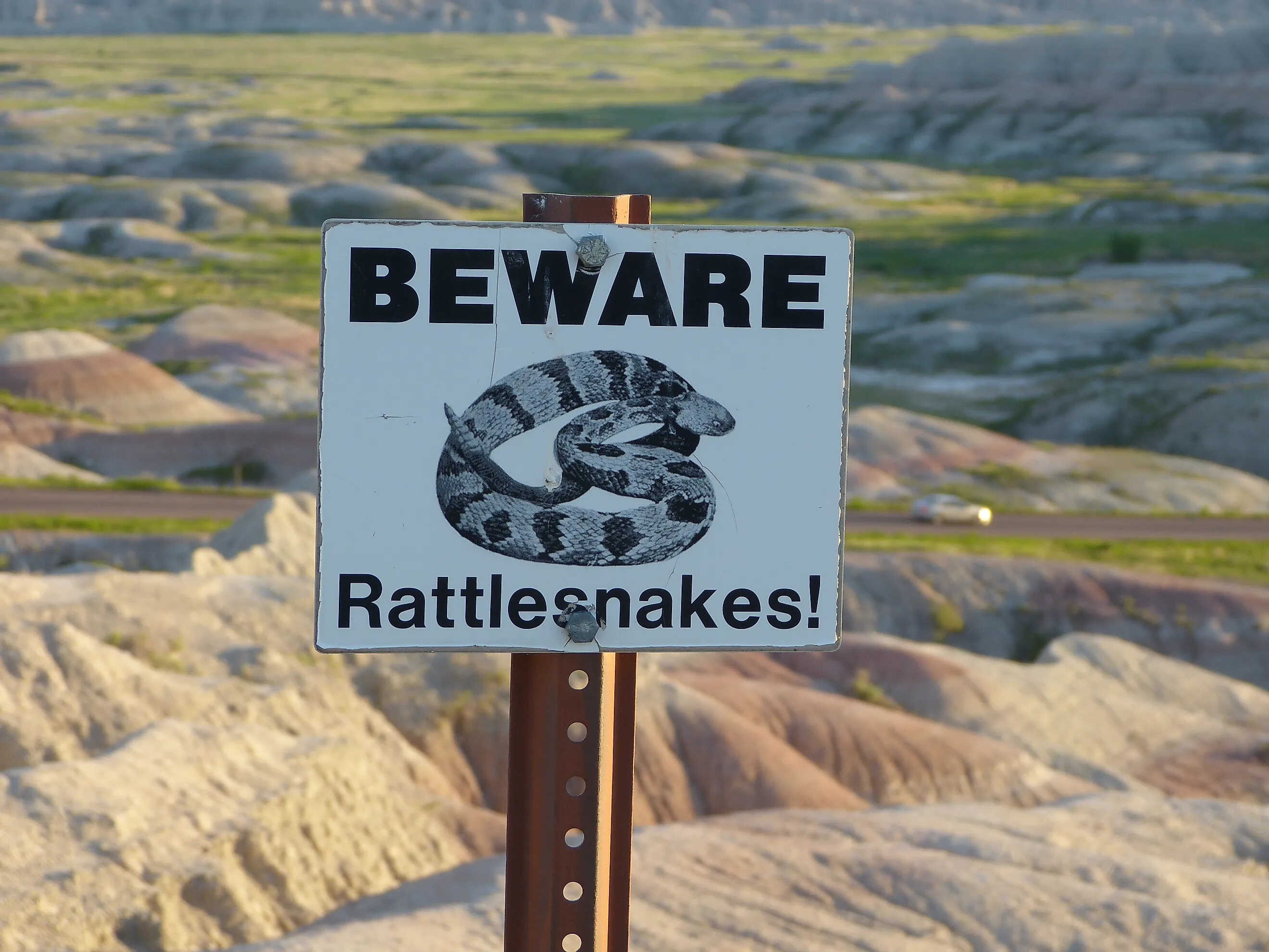 how-to-avoid-snakes-while-hiking