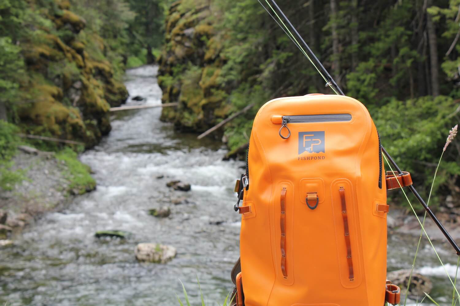How-To-Keep-Fish-On-A-Backpacking-Trip how-to-keep-fish-on-a-backpacking-trip