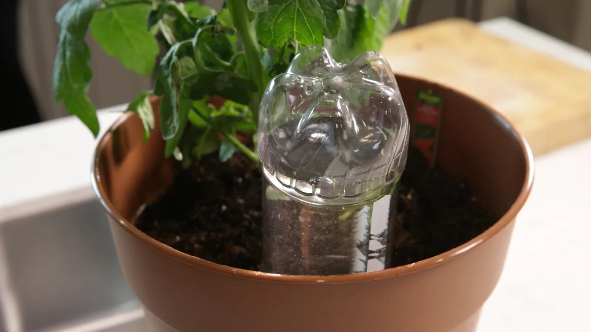 How-To-Keep-Your-Plants-Alive-While-On-Vacation how-to-keep-your-plants-alive-while-on-vacation