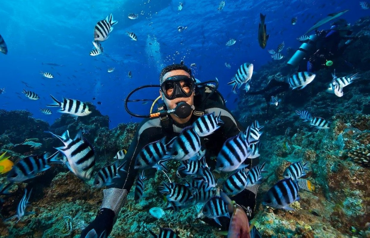 How-To-Learn-To-Scuba-Dive-In-Fiji how-to-learn-to-scuba-dive-in-fiji
