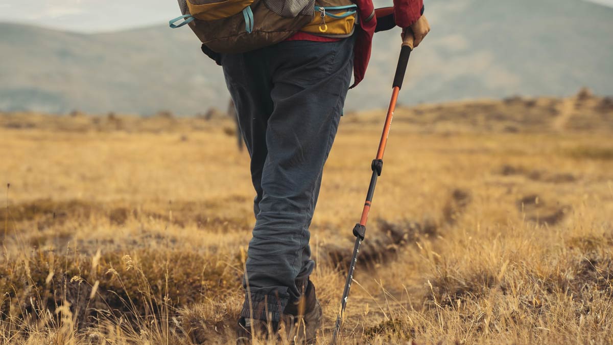 How-To-Use-Komperdell-Ridgehiker-Trekking-Poles how-to-use-komperdell-ridgehiker-trekking-poles
