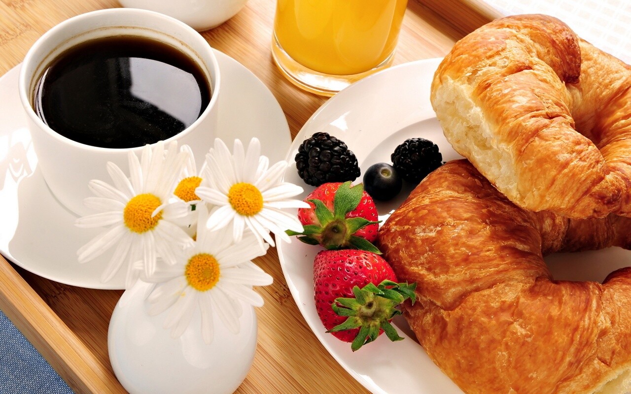 love-is-love-and-breakfast-is-breakfast