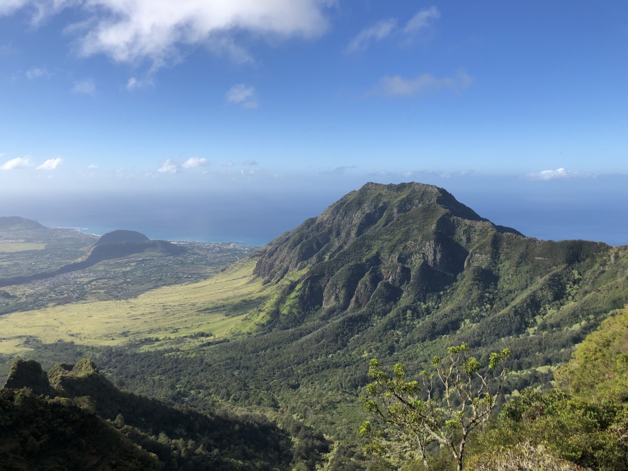 mount-kaala-hike-to-the-highest-point-on-oahu-hawaii