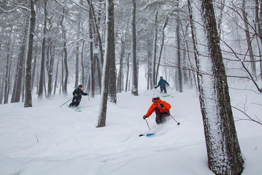 Navigating-Glades-In-Skiing-Tips-For-Tree-Skiing navigating-glades-in-skiing-tips-for-tree-skiing