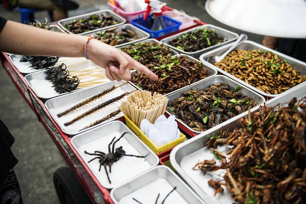 One-Thing-I-Remember-For-Certain-Is-That-I-Ate-More-Bugs one-thing-i-remember-for-certain-is-that-i-ate-more-bugs