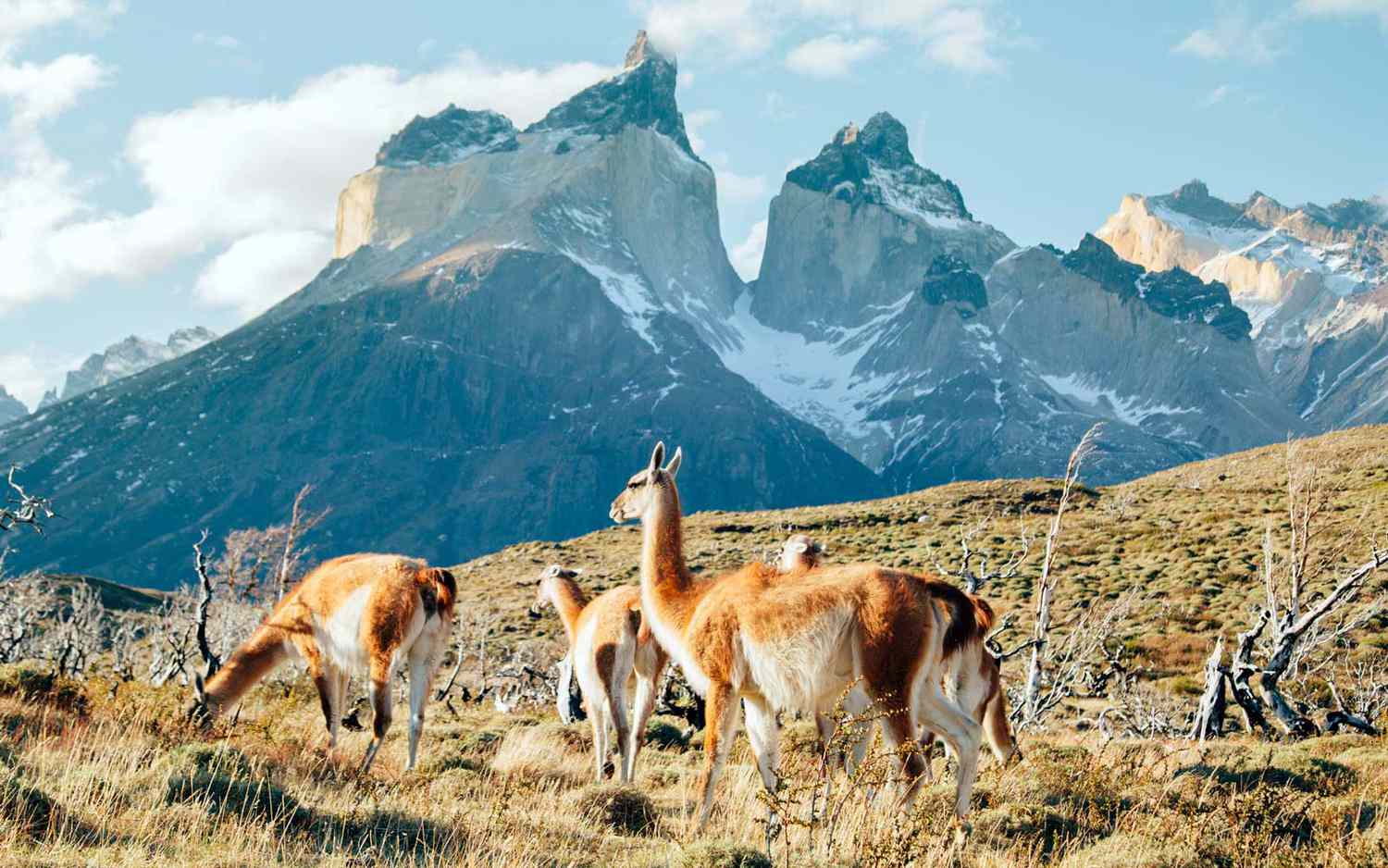 Patagonia-Thoughts-On-Getting-Offline-And-Trying-To-Camp patagonia-thoughts-on-getting-offline-and-trying-to-camp